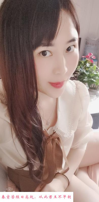 上海普陀雪梅 第2张