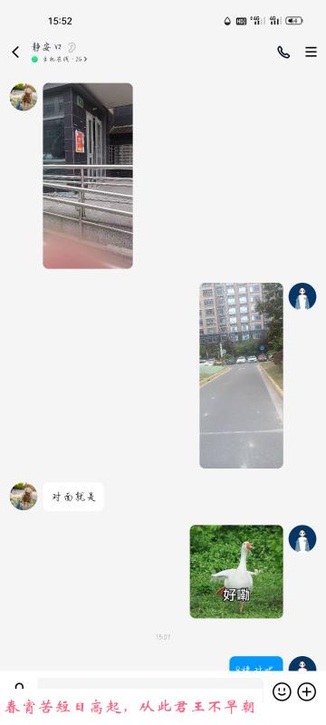静安区安妮 第2张