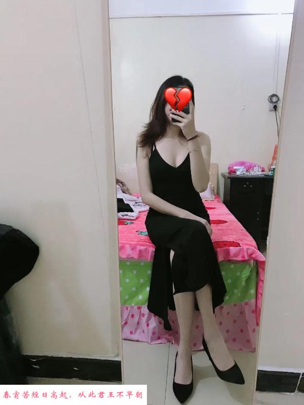 服务控喵喵 第1张