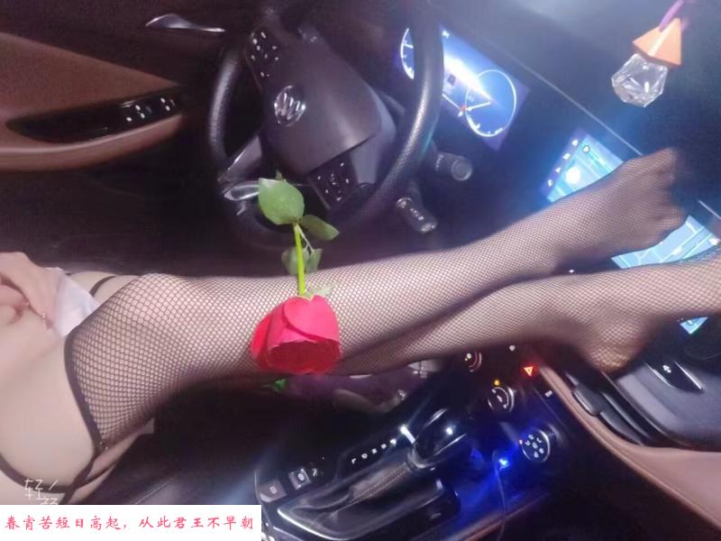 美少妇车震 第1张