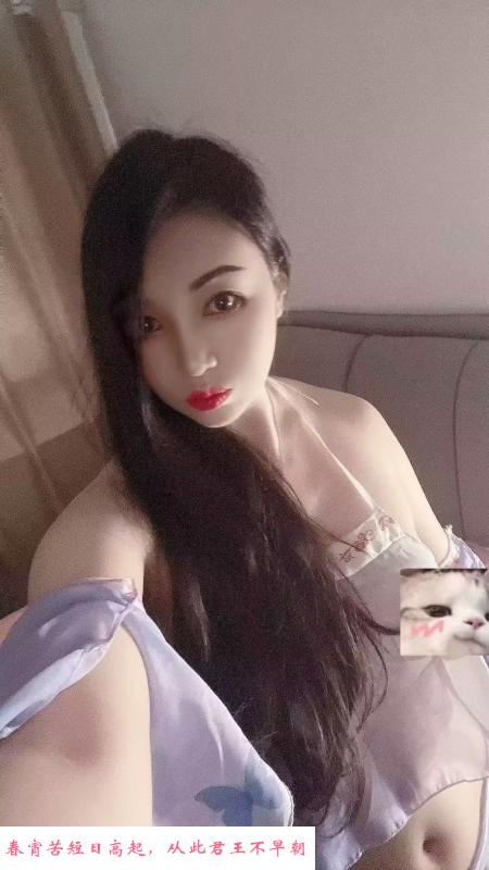 乔司骚妇 第1张