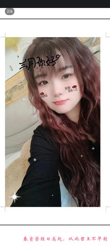 河东小坦克 第3张