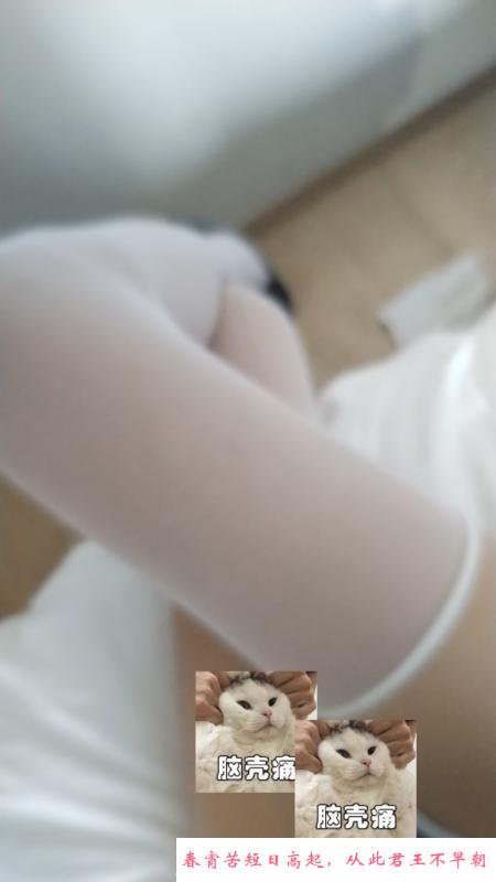 性感大长腿老师 第1张