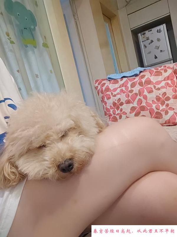 南坪工贸蝴蝶逼少妇 第4张
