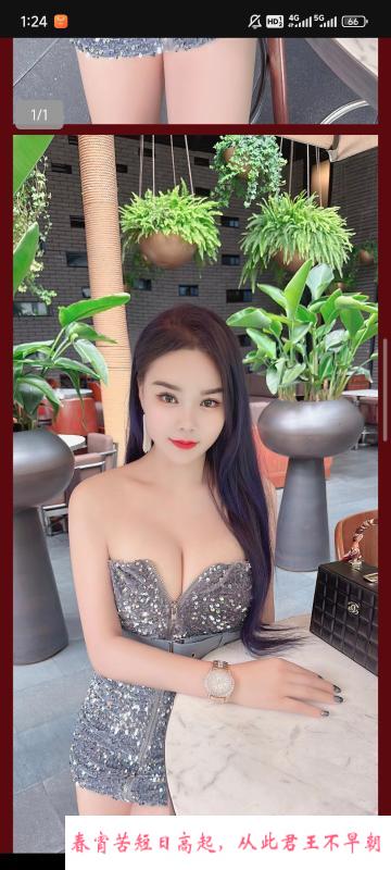 金牛玫瑰回归 第2张