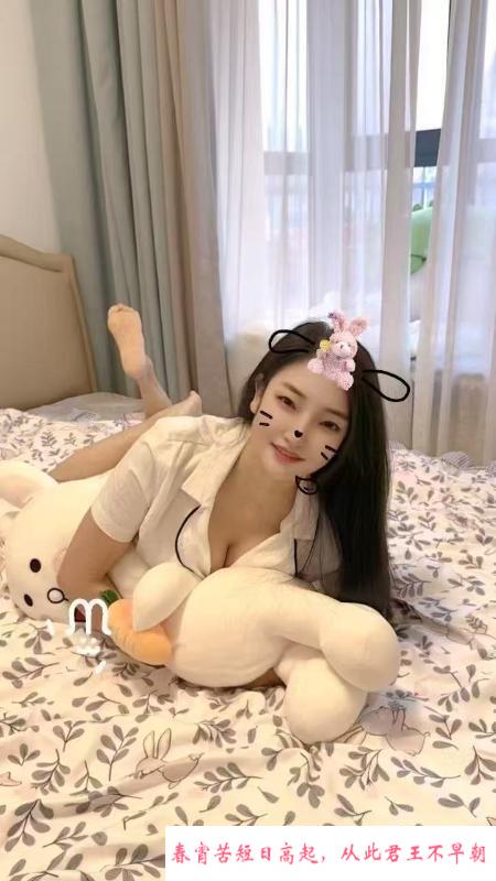 蜀山小喵喵 第1张