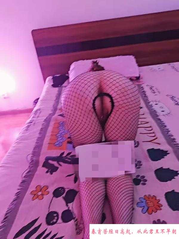 大奶少妇 第1张