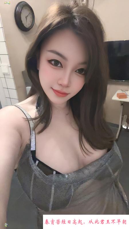 宝安大白奶小肥猫 第2张