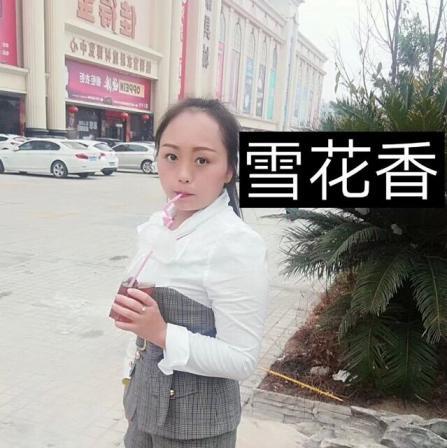 龙岗雪花香 第1张