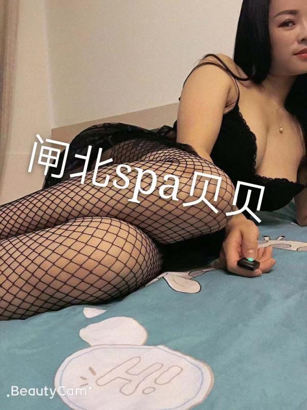 闸北贝贝回归 第2张