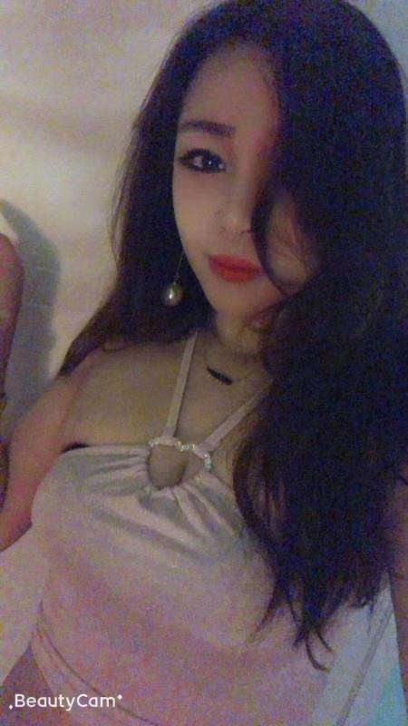固戍小肥猫 第1张