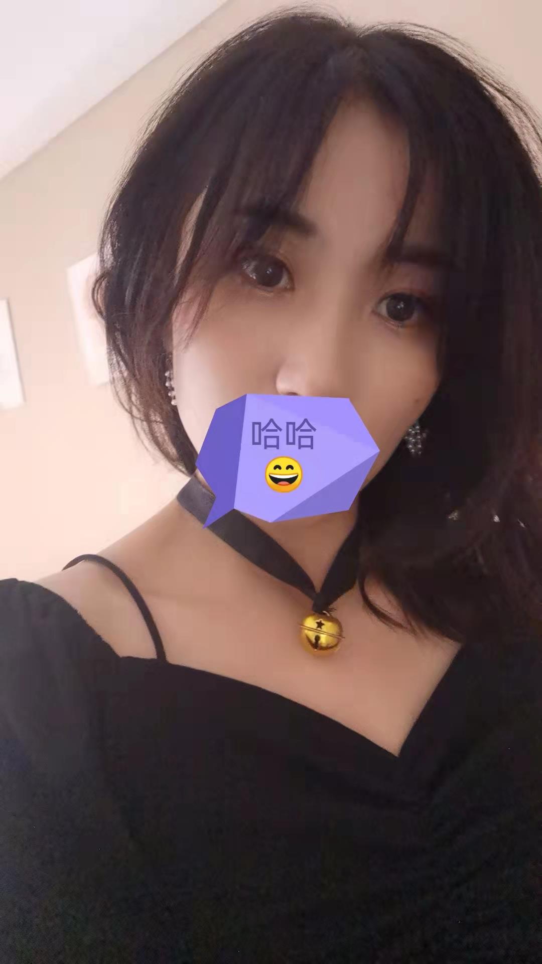 罗斯福波妹小猫 第1张