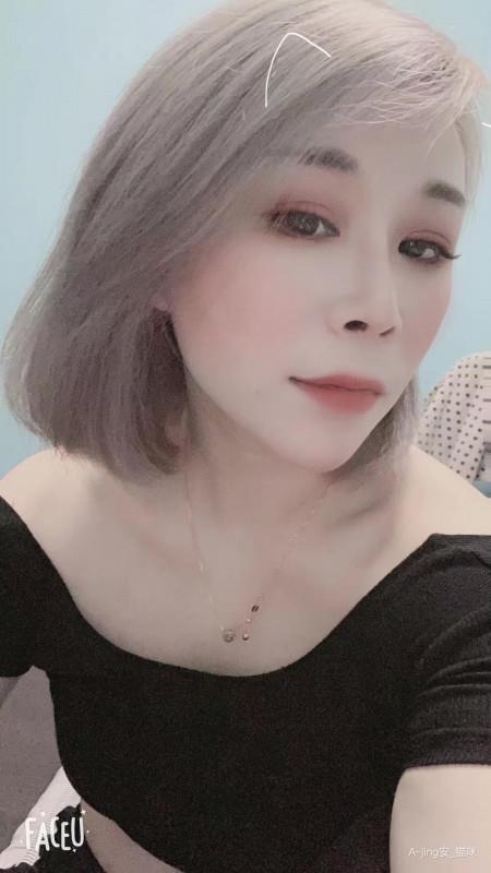 静安小猫咪 第1张